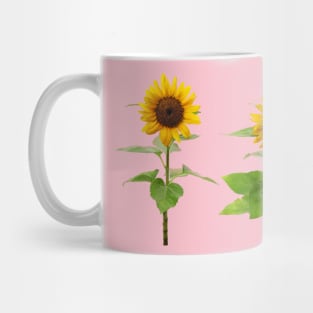 Three Sunflowers Mug